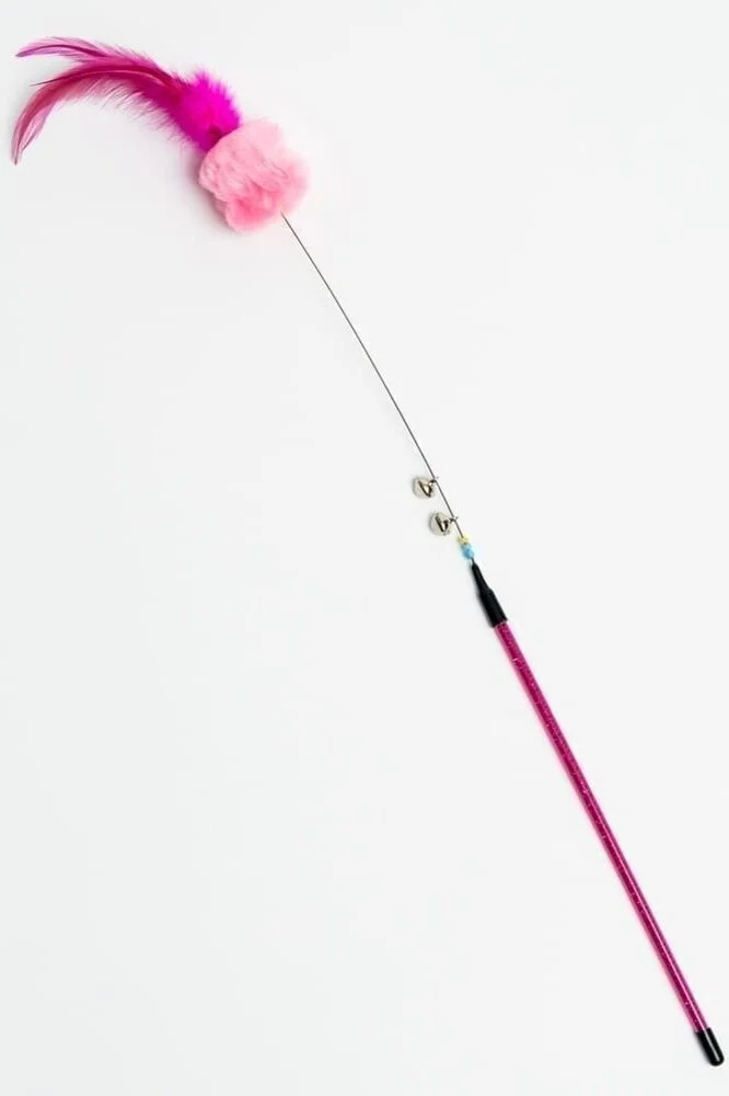 springy cat toy