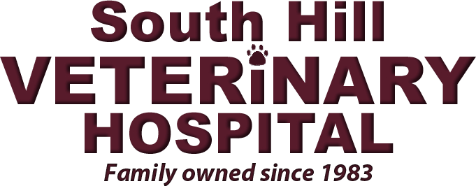 South Hill Veterinary Hospital