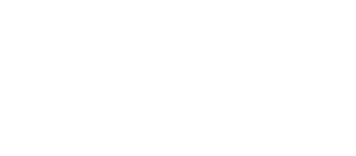 Hydrangea Bloom 