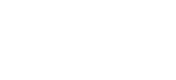 BRANDON CLINTON SPORTHORSES
