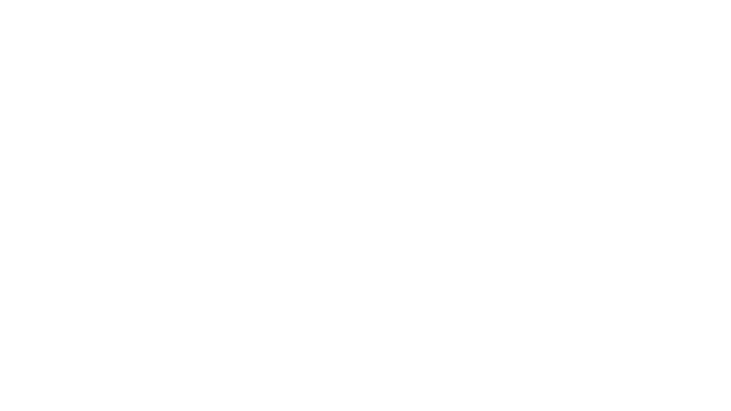 Chris Chan
