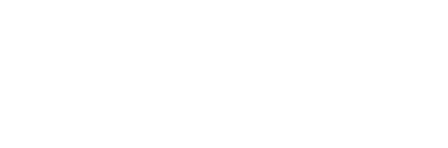 LNN Counseling and Consulting, PLLC