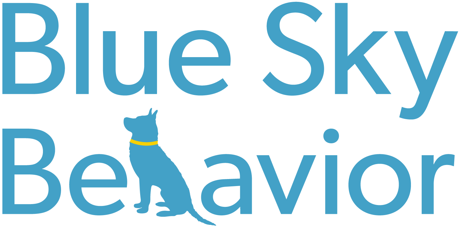 Blue Sky Behavior and Dog Training