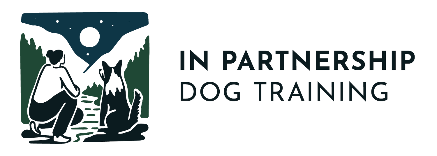 IN PARTNERSHIP DOG TRAINING