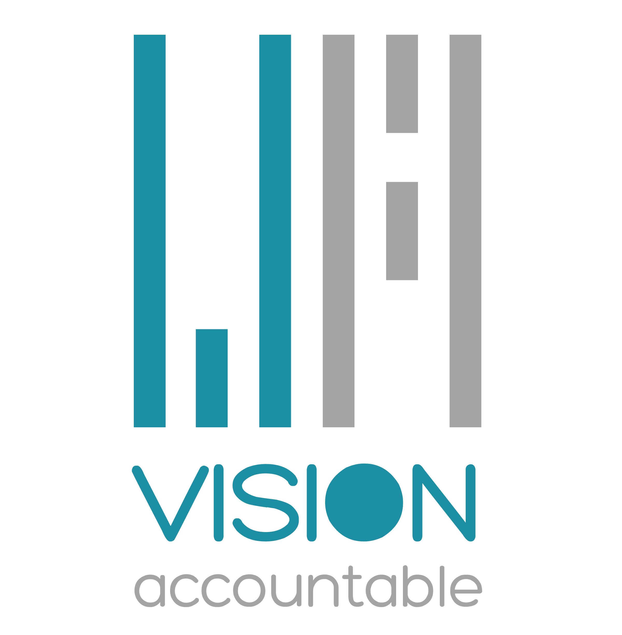 vision accountable