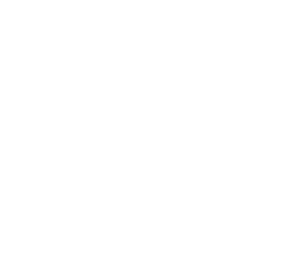 The Revelation Project 