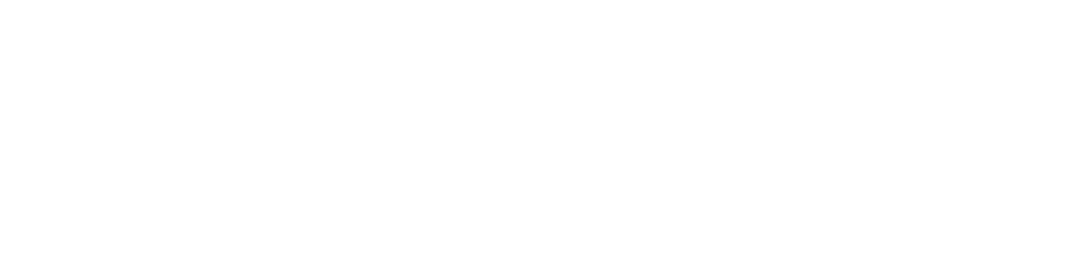 Lighthouse Healthcare Partners