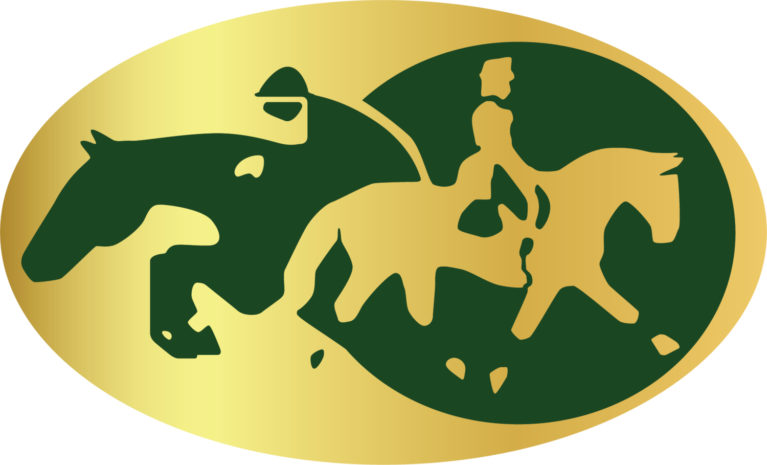 Ardnacashel Equestrian