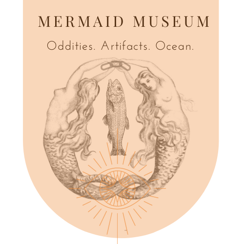 The Mermaid Museum is here.