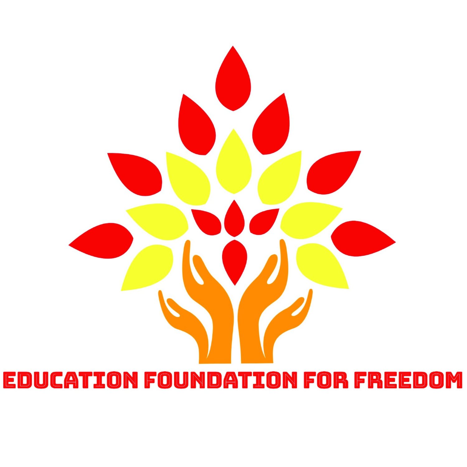 Education Foundation For Freedom