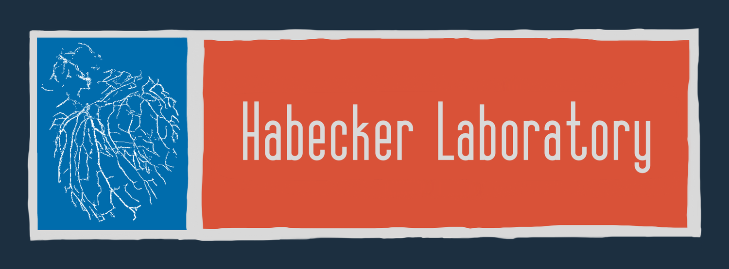 Habecker Lab OHSU