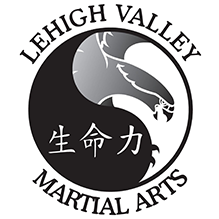 Lehigh Valley Martial Arts