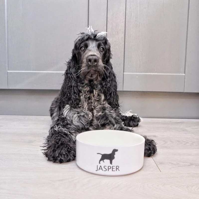 personalised spaniel bowls