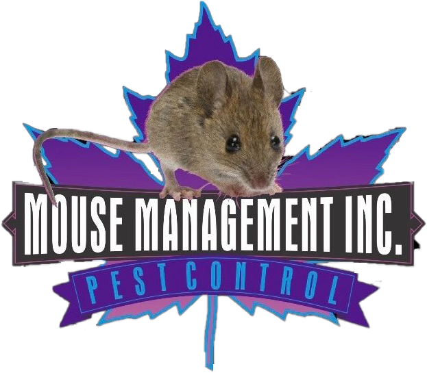 Mouse Management Inc.