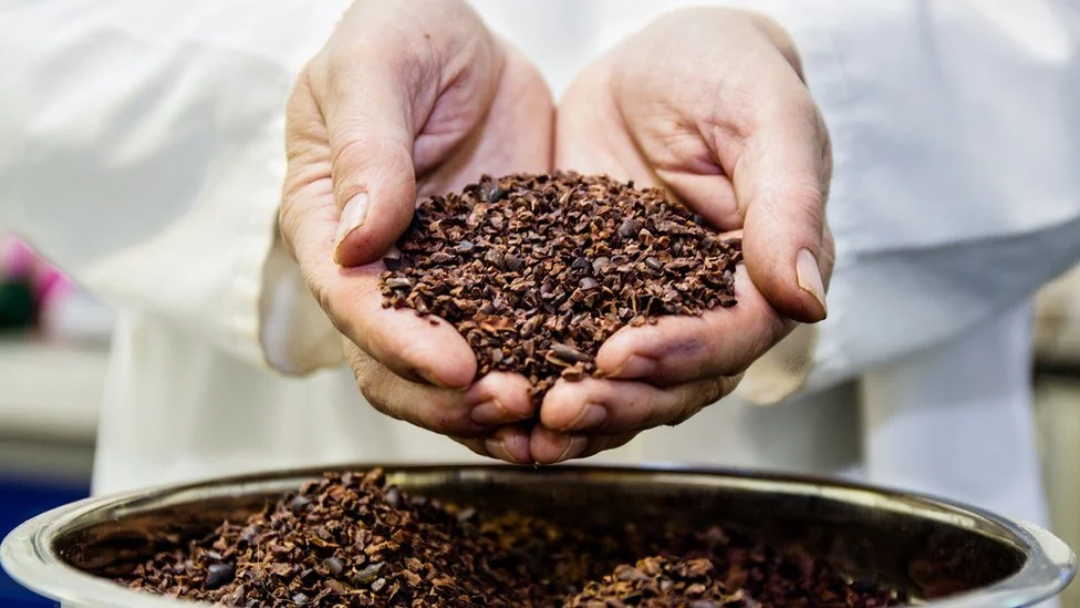 一些 professionals might start from the cocoa nibs and still call themselves “chocolate makers”.