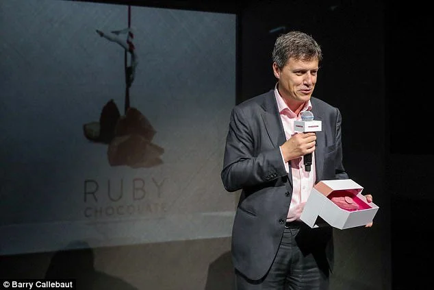 红宝石巧克力由中国上海的Barry Callebaut介绍。