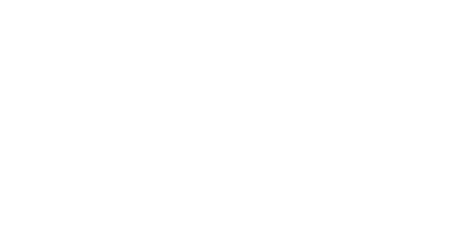 Schneuwly Coaching
