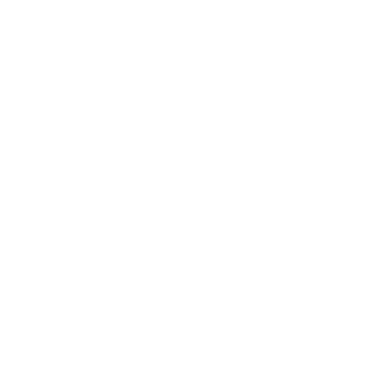 Everest Capital Group