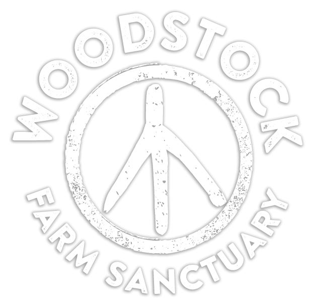 Woodstock Farm Sanctuary