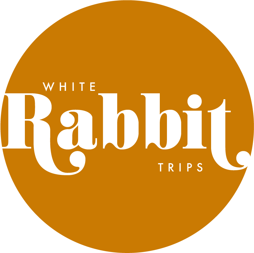 WHITE RABBIT TRIPS