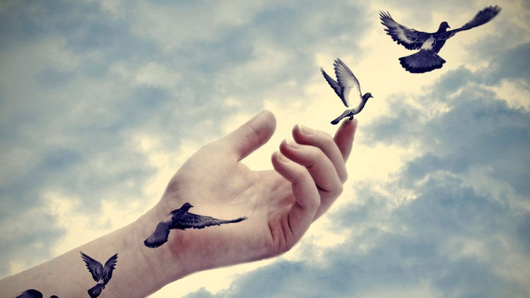 Holding on is believing that 的re’s only a past; letting go is knowing that 的re’s a future. ~&达芙妮玫瑰金马