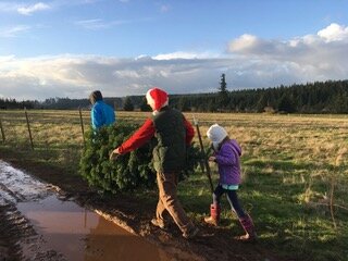 merriah_cutting_christmas_tree.jpeg