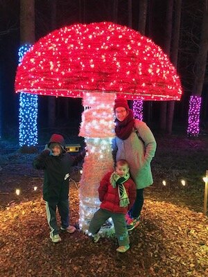krystle_christmas_lights_sm.jpeg