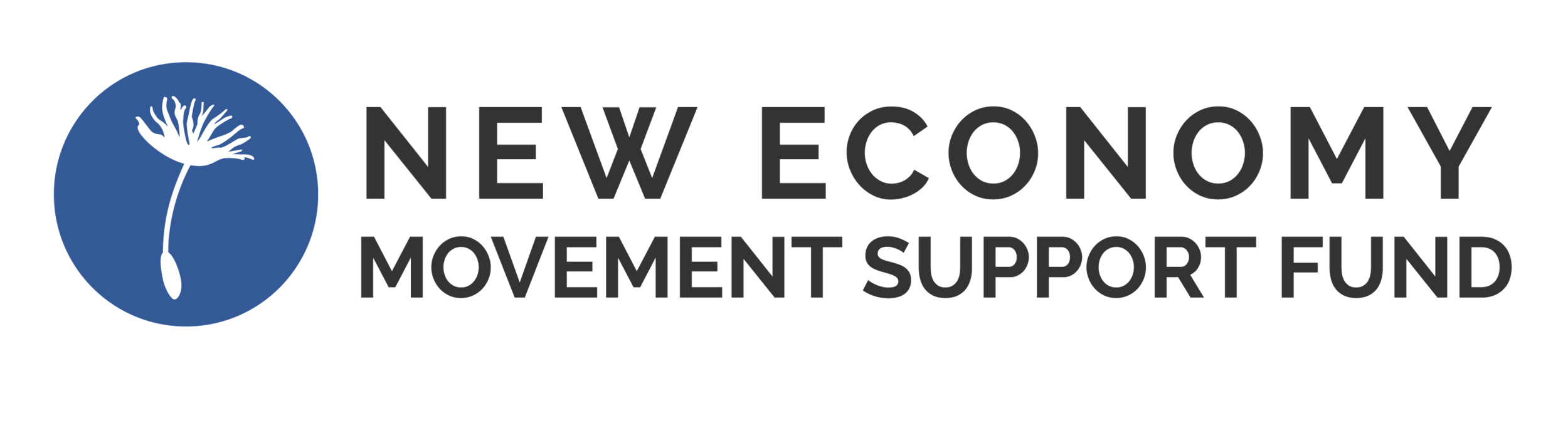 New Economy Movement Support Fund