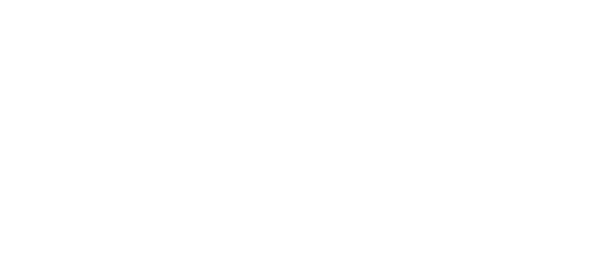 Auto Image USA