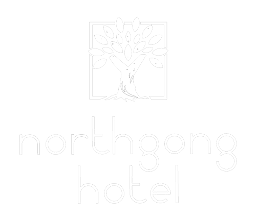 SantaFest North Gong 2025