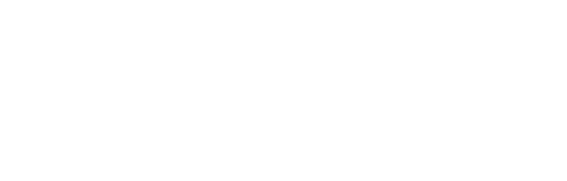 BOREGAARD JEWELER