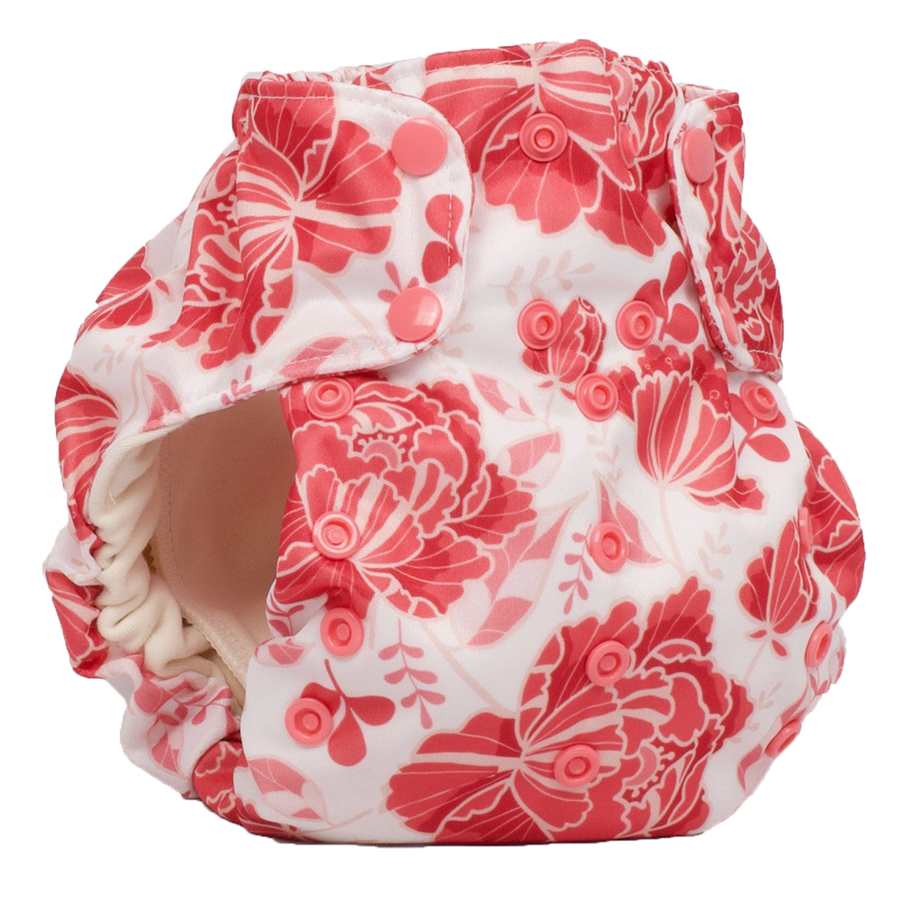 smart bottoms nappies