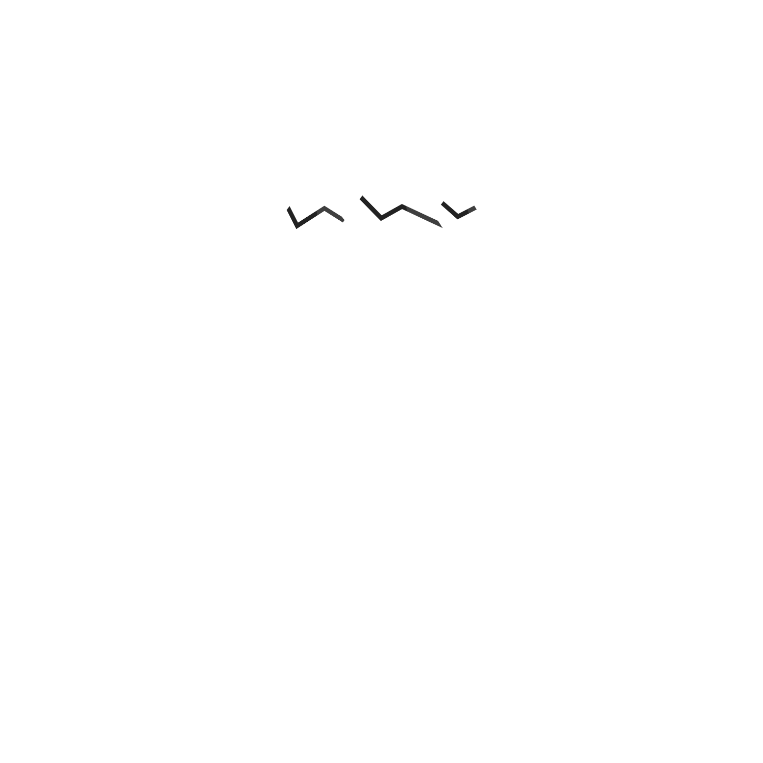 Eco Van Build 