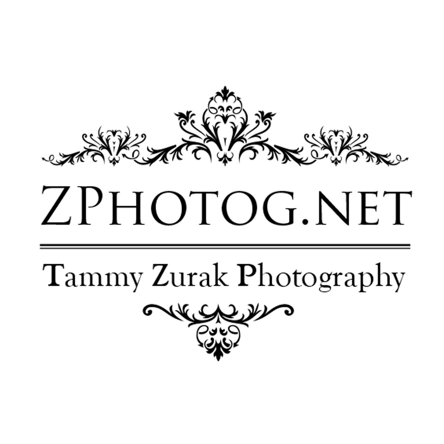 Z Photog Studio