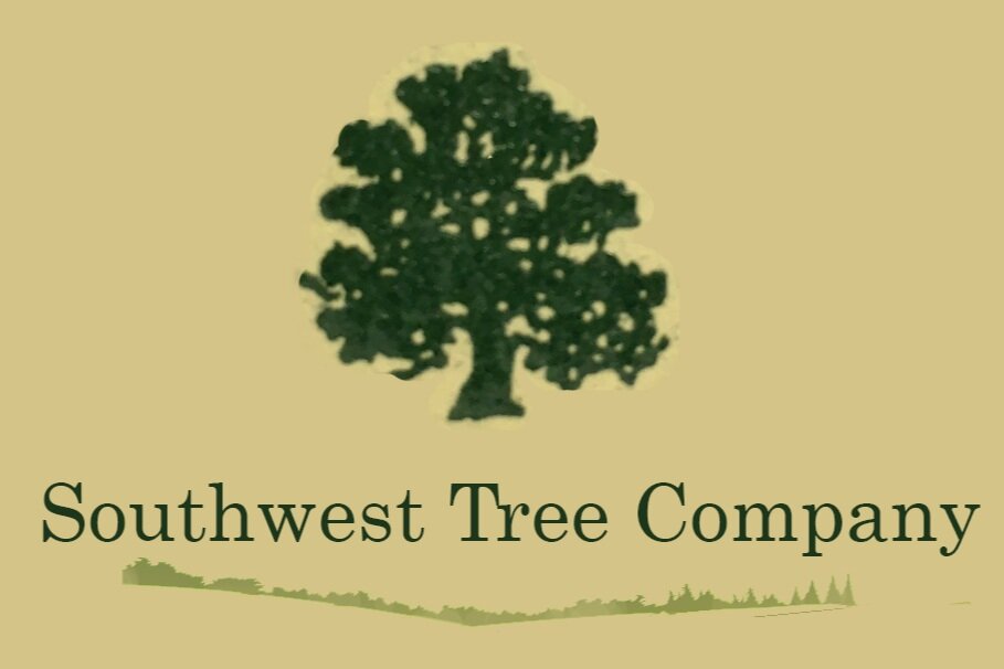 Southwest Tree Company | Northeast Ohio
