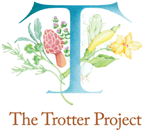 The Trotter Project 