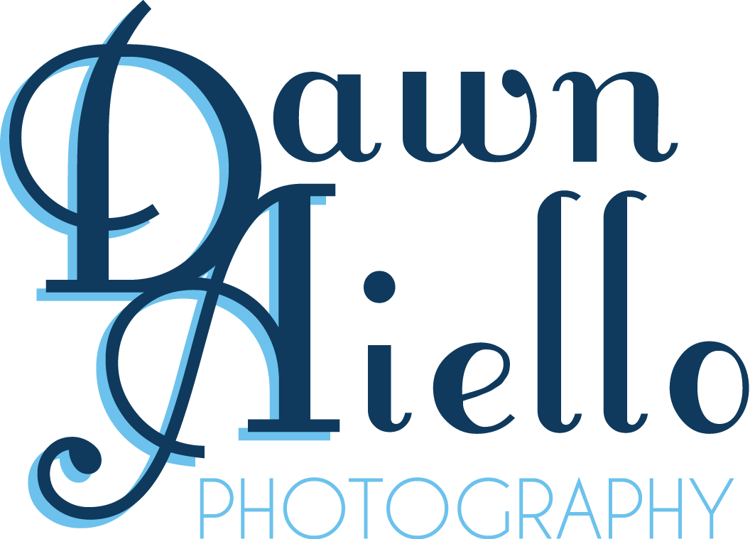 Dawn Aiello Photography - Orlando Photographer