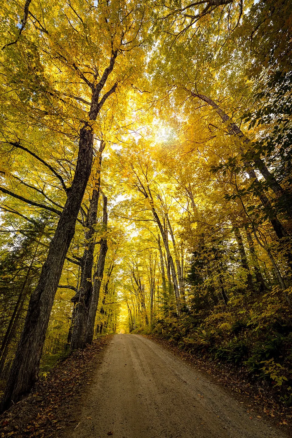 Autumn Drive, Peachum, VT — American Nomad Photography