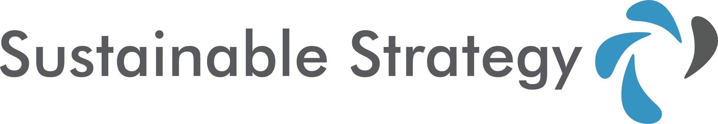 Sustainable Strategy Ltd