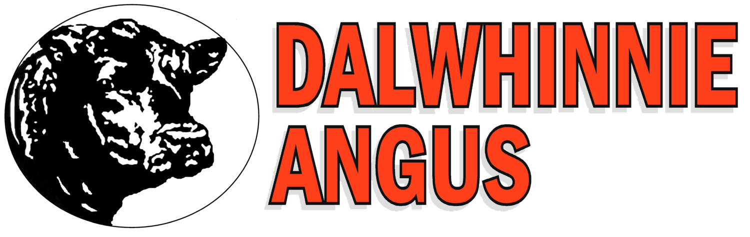 Dalwhinnie Angus