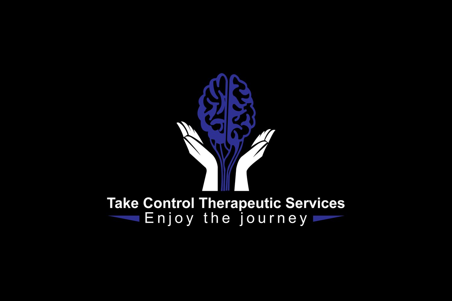 Take Control Therapeutic Services