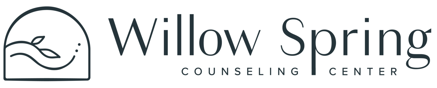 Willow Spring Counseling Center