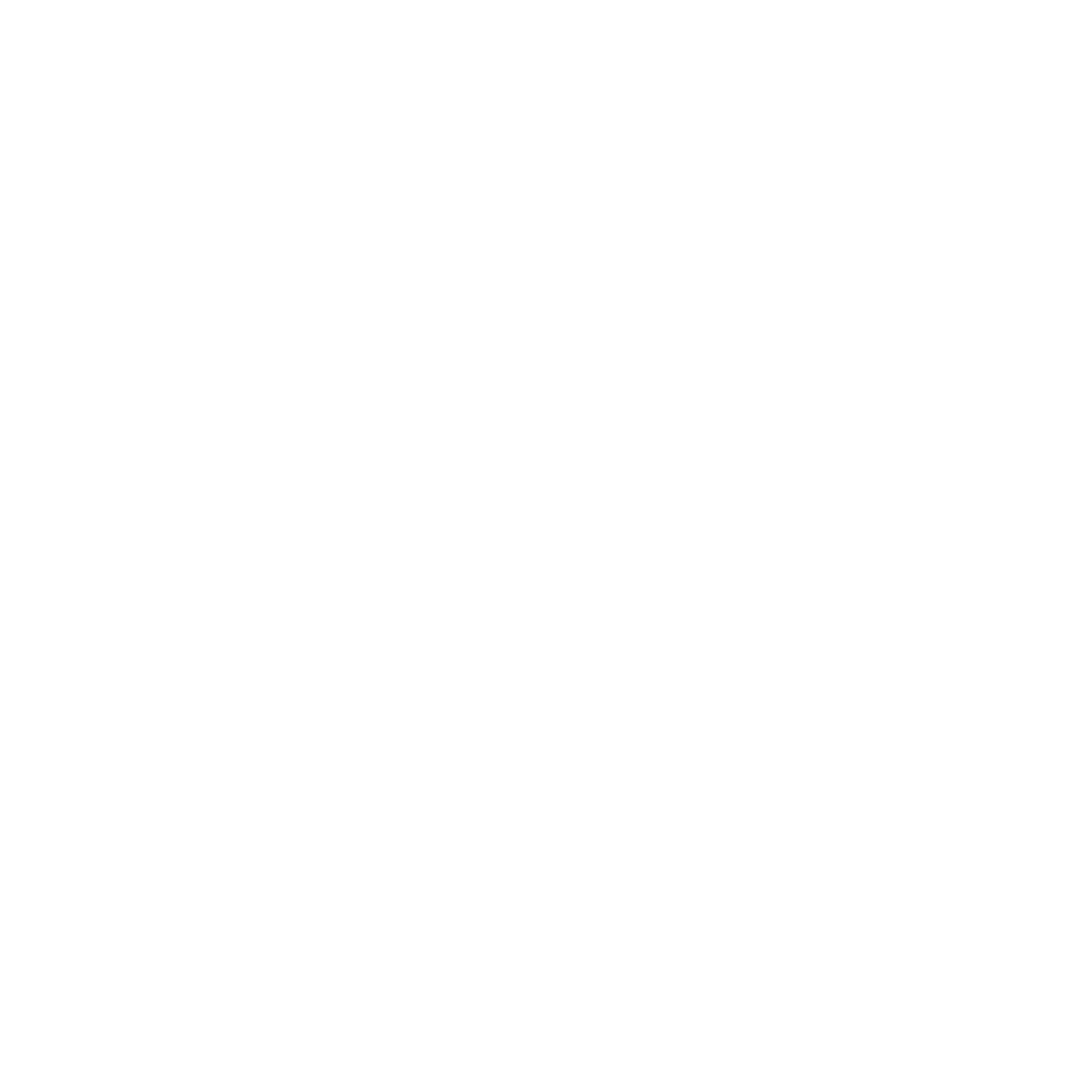 VisionGives