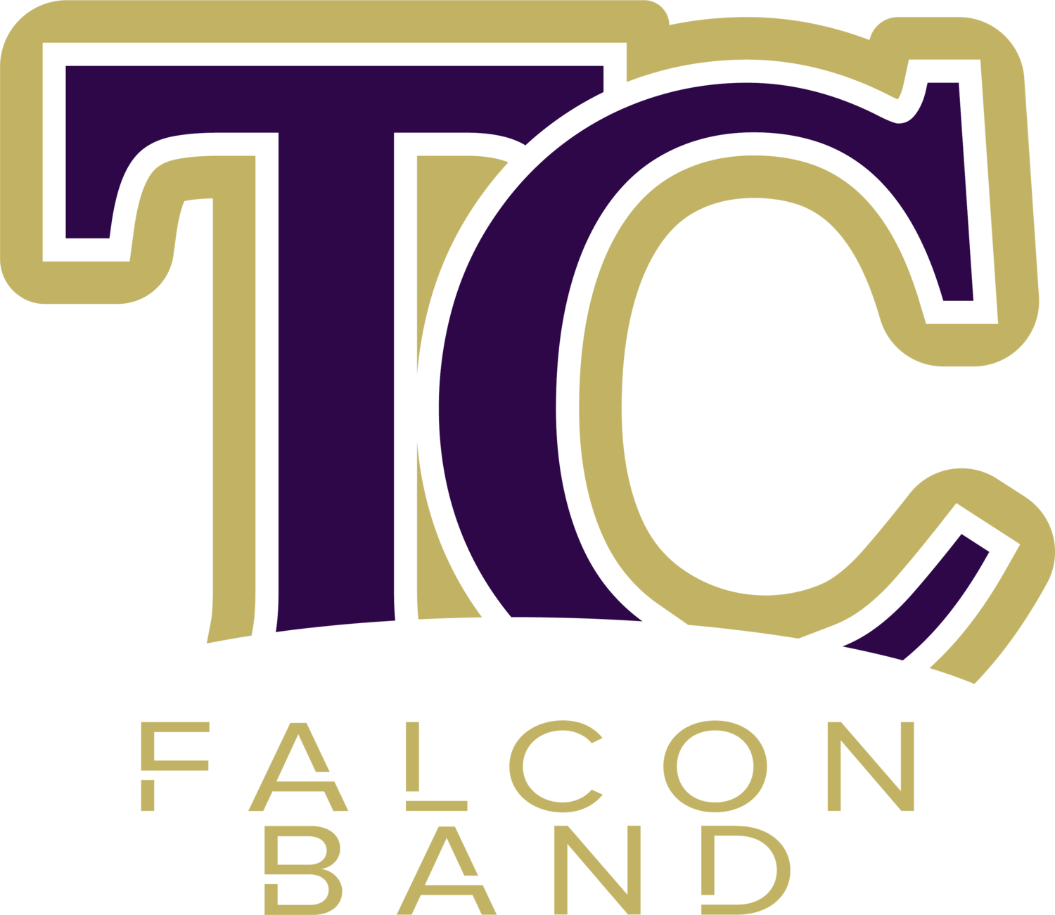 Timber Creek High School Band