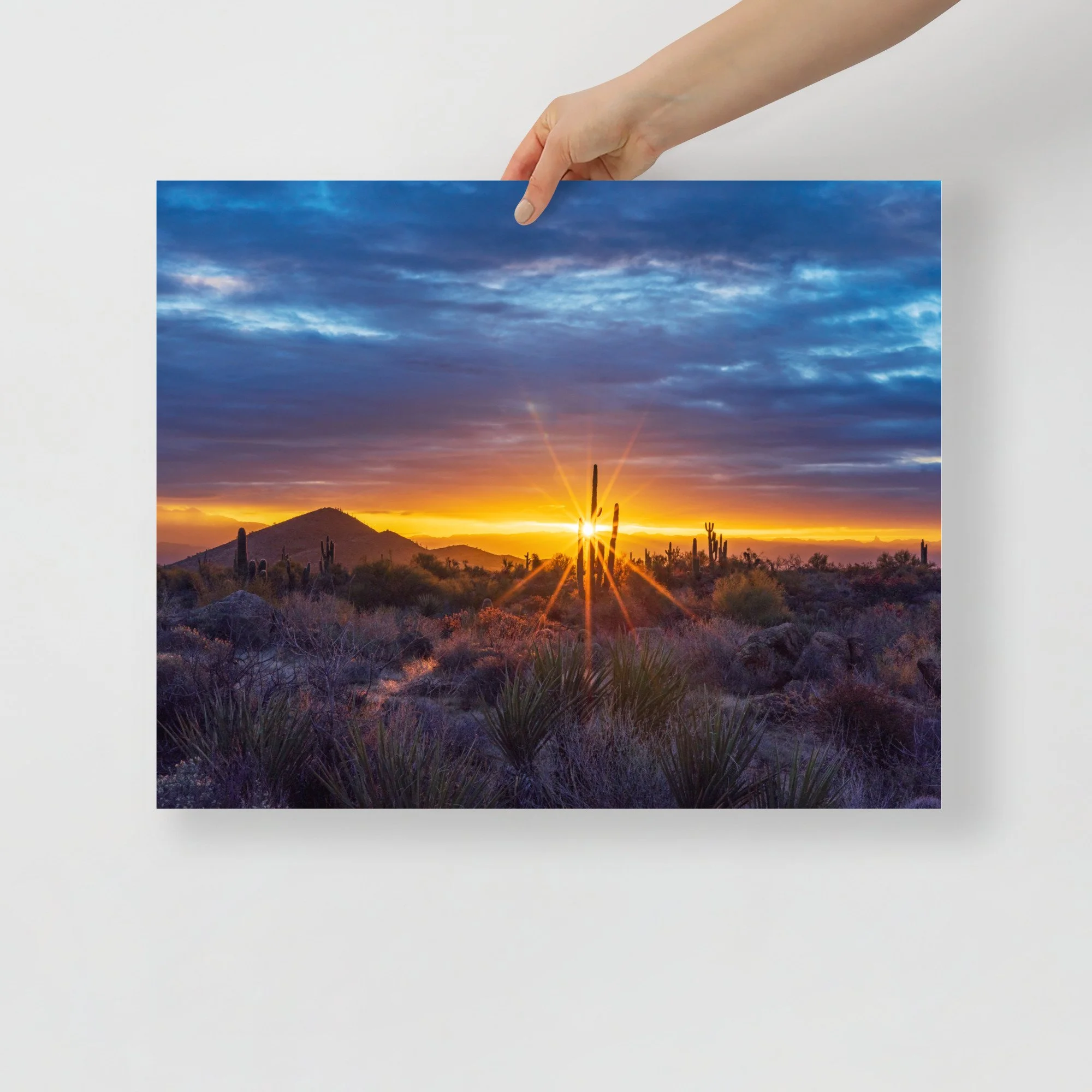 Arizona Sonoran Desert Landscape With Sun Flare Poster Print