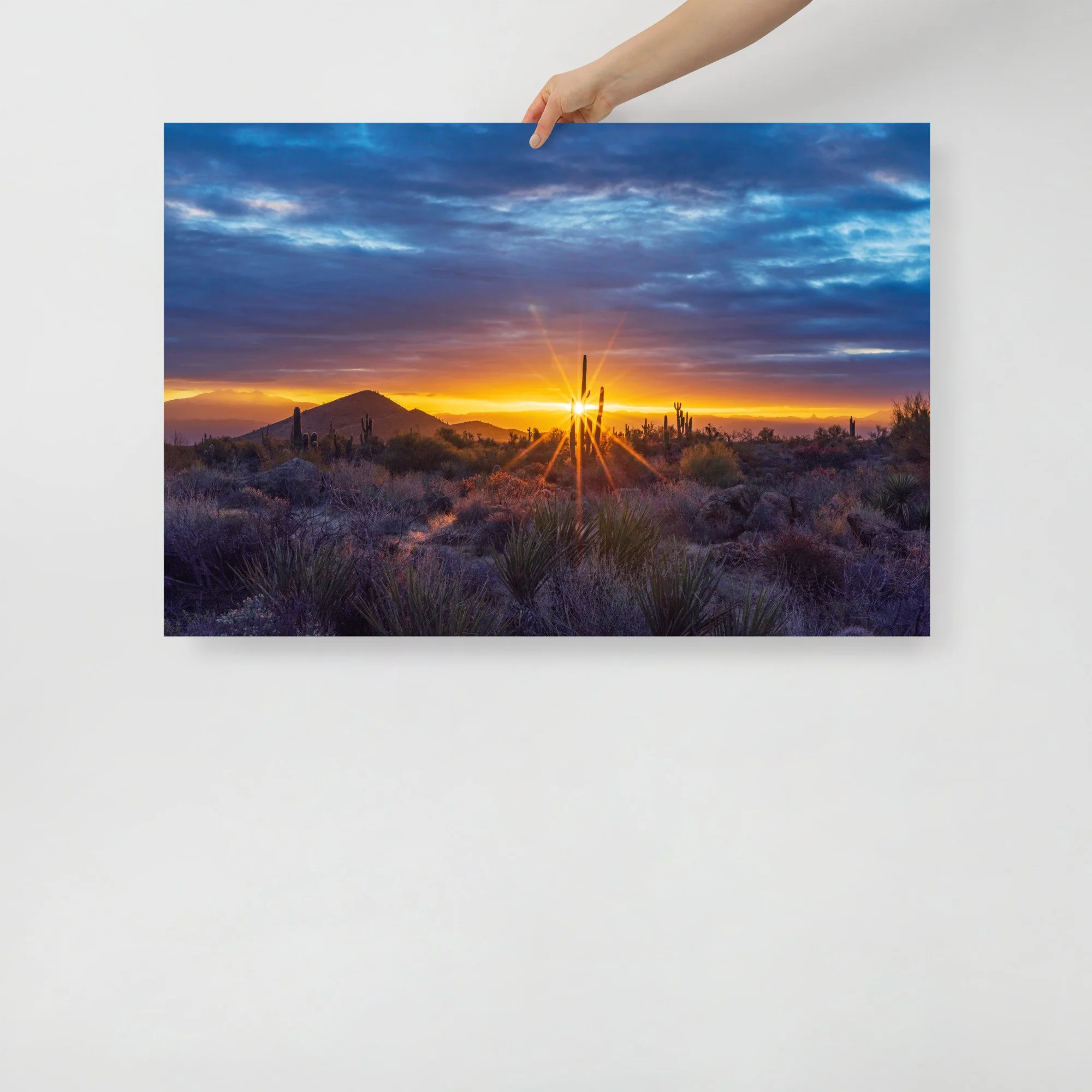 Arizona Sonoran Desert Landscape With Sun Flare Poster Print