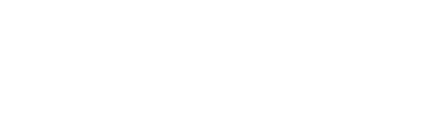 dally leather