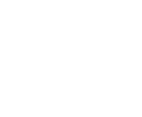 The Monitoring Group