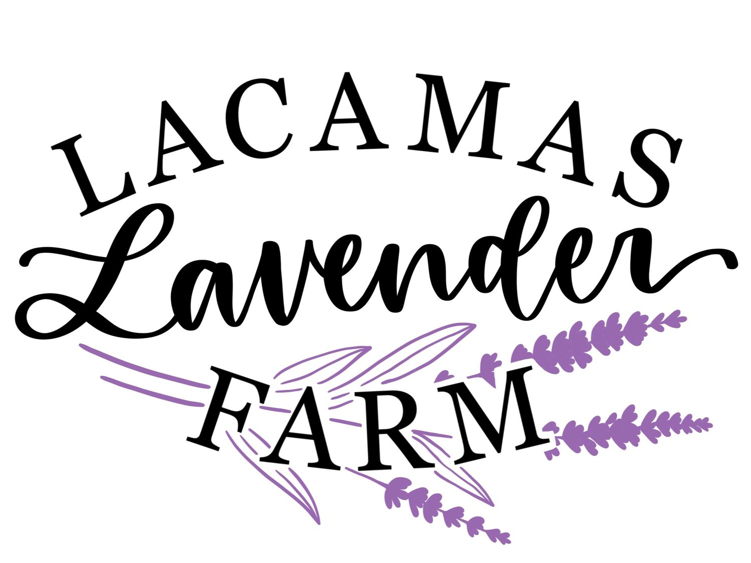 Lacamas Lavender Farm