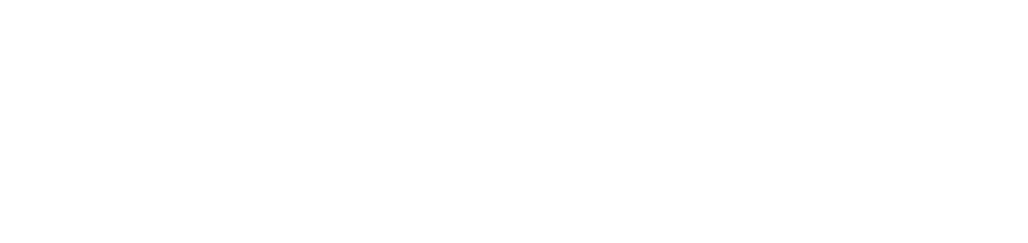  Red Canoe Business Guides